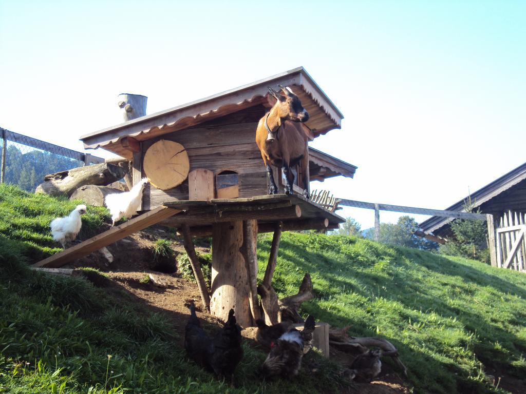 Appartements Gruenholz Itter Esterno foto